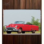 Металлическая табличка Oldsmobile 98 Convertible 495